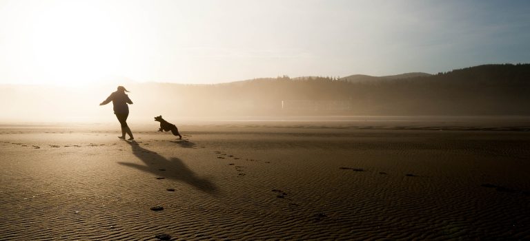Person and dog at beach depicting emotional health